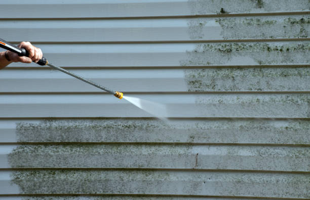 Best Roof Power Washing Services  in Galesville, WI