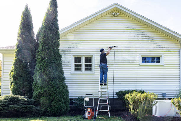 Best Exterior Home Cleaning  in Galesville, WI