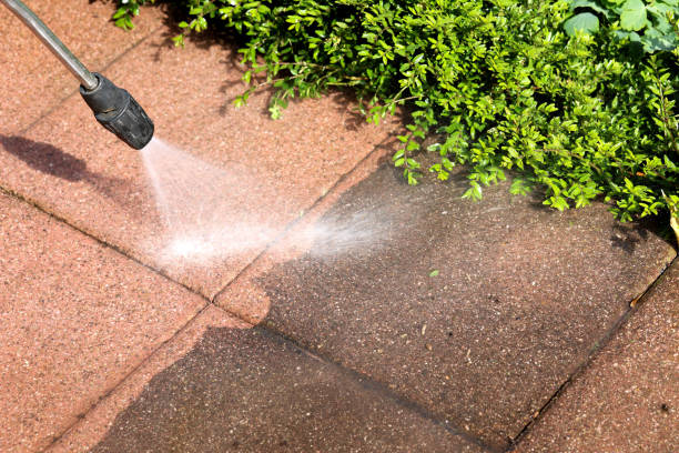 Best Pressure Washing Patio  in Galesville, WI