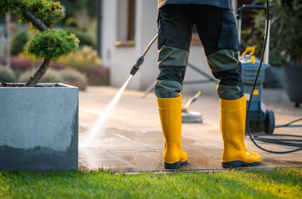 Best Sidewalk Pressure Washing  in Galesville, WI